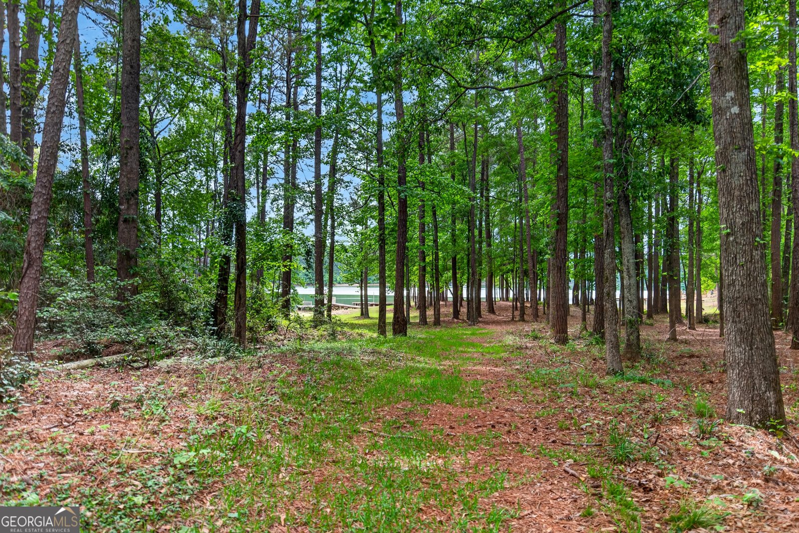608 Waterview Drive Lagrange - Photo 44
