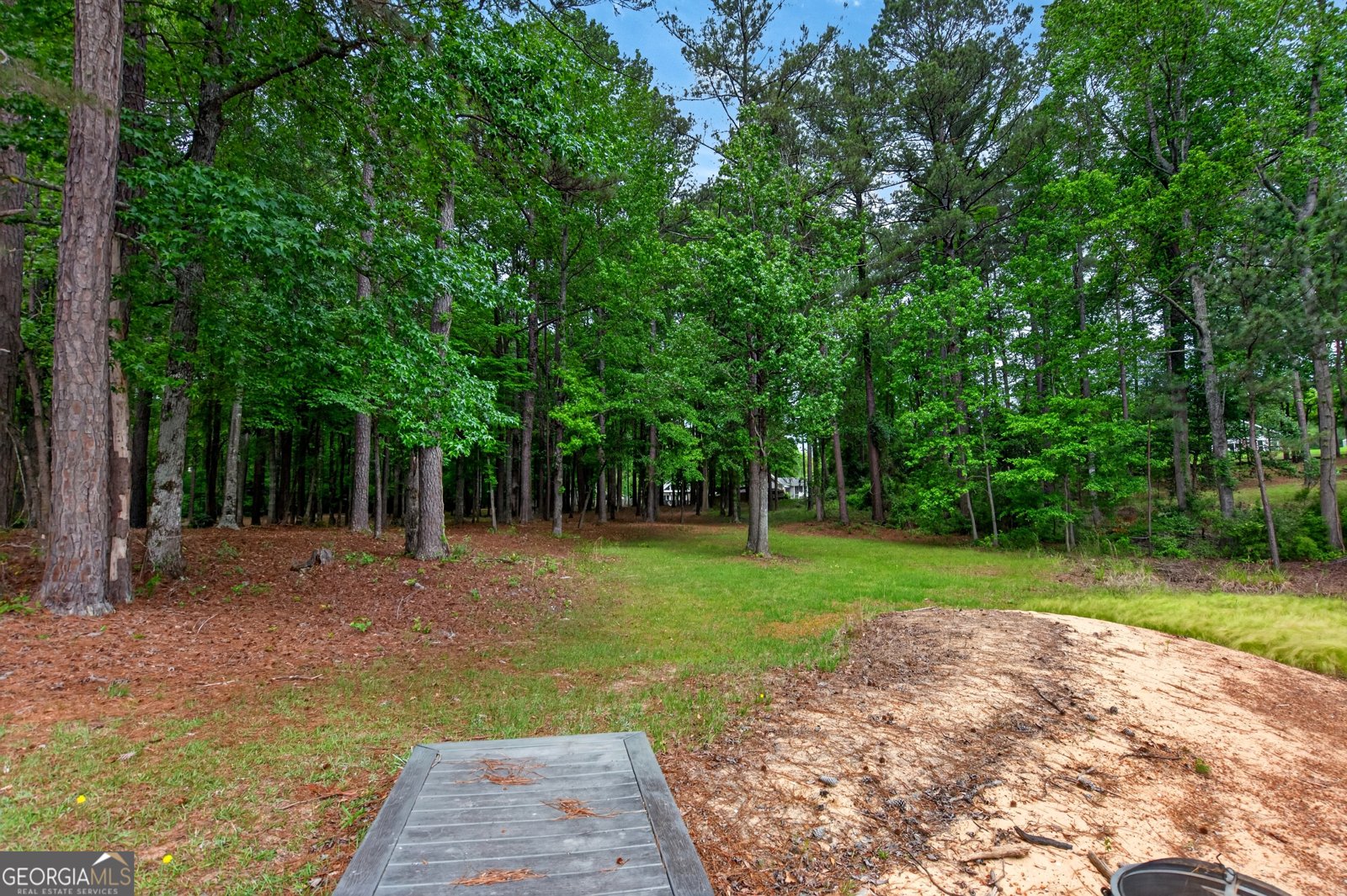 608 Waterview Drive Lagrange - Photo 45