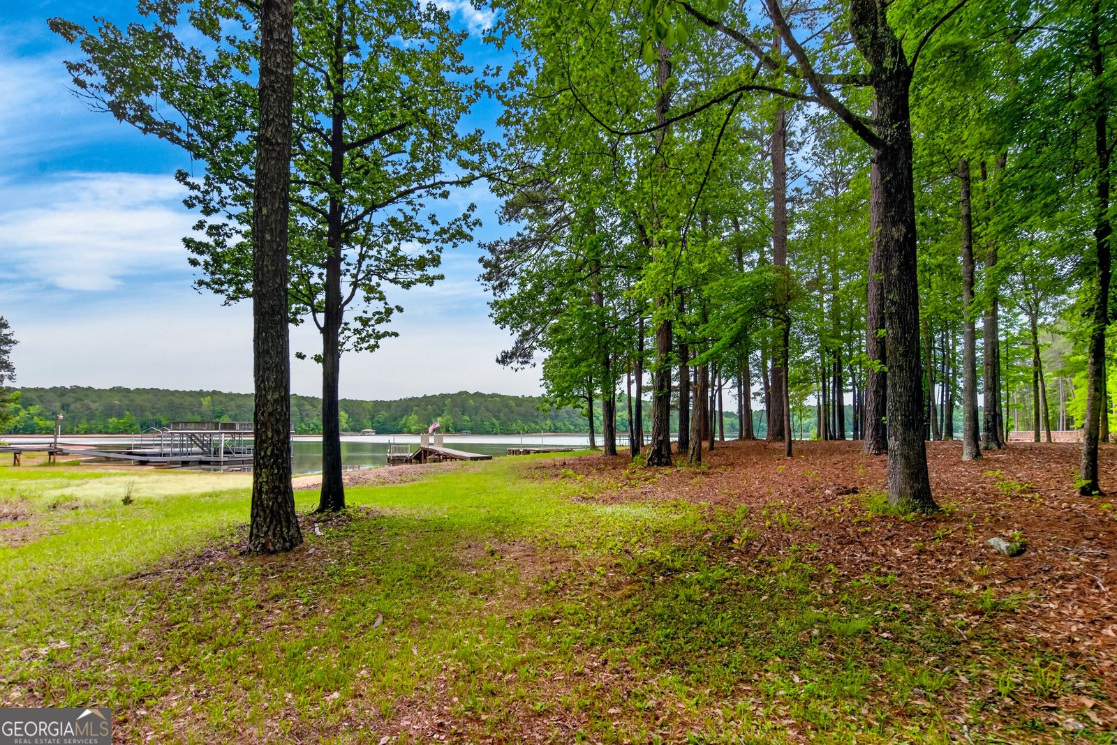 608 Waterview Drive Lagrange - Photo 46