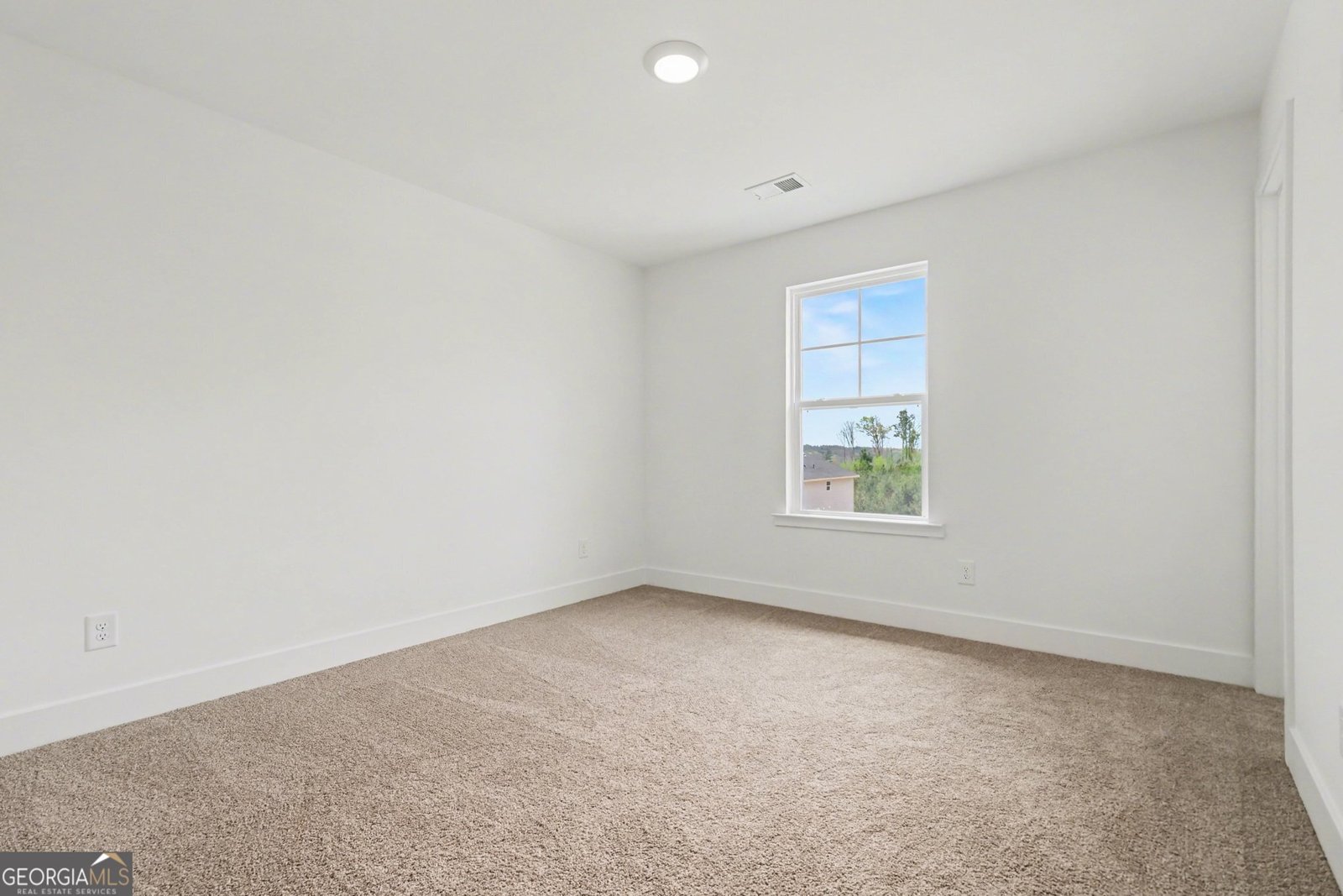 219 Thunder Valley Dawsonville - Photo 22