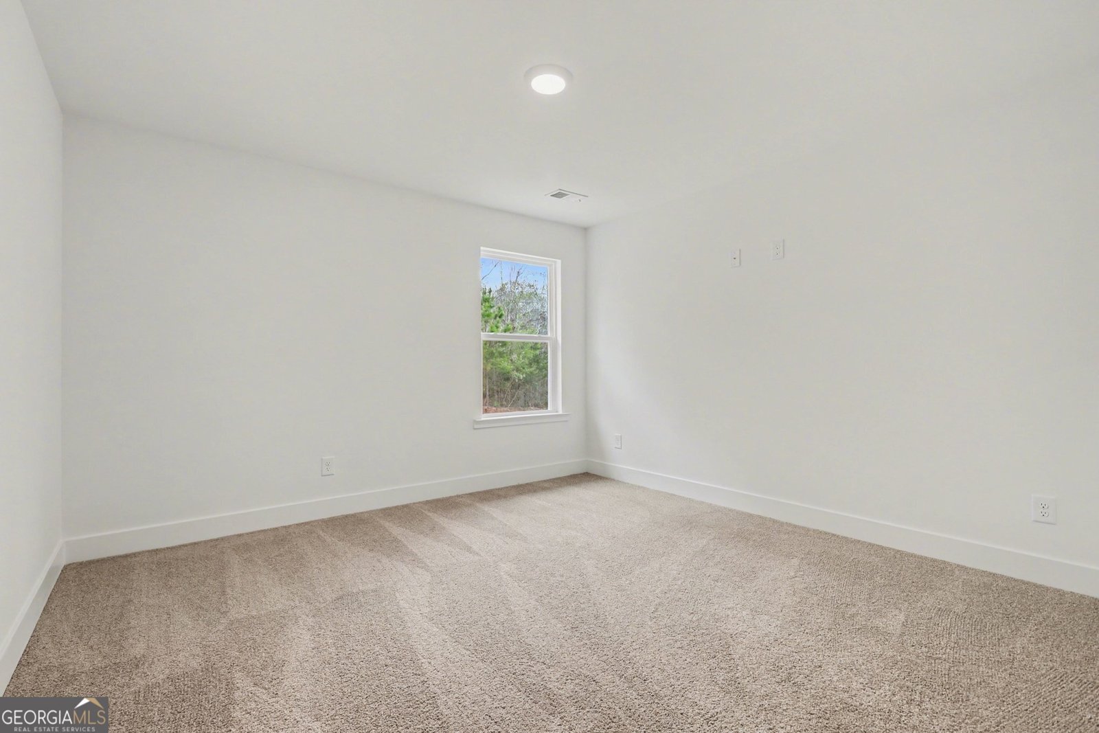 219 Thunder Valley Dawsonville - Photo 24