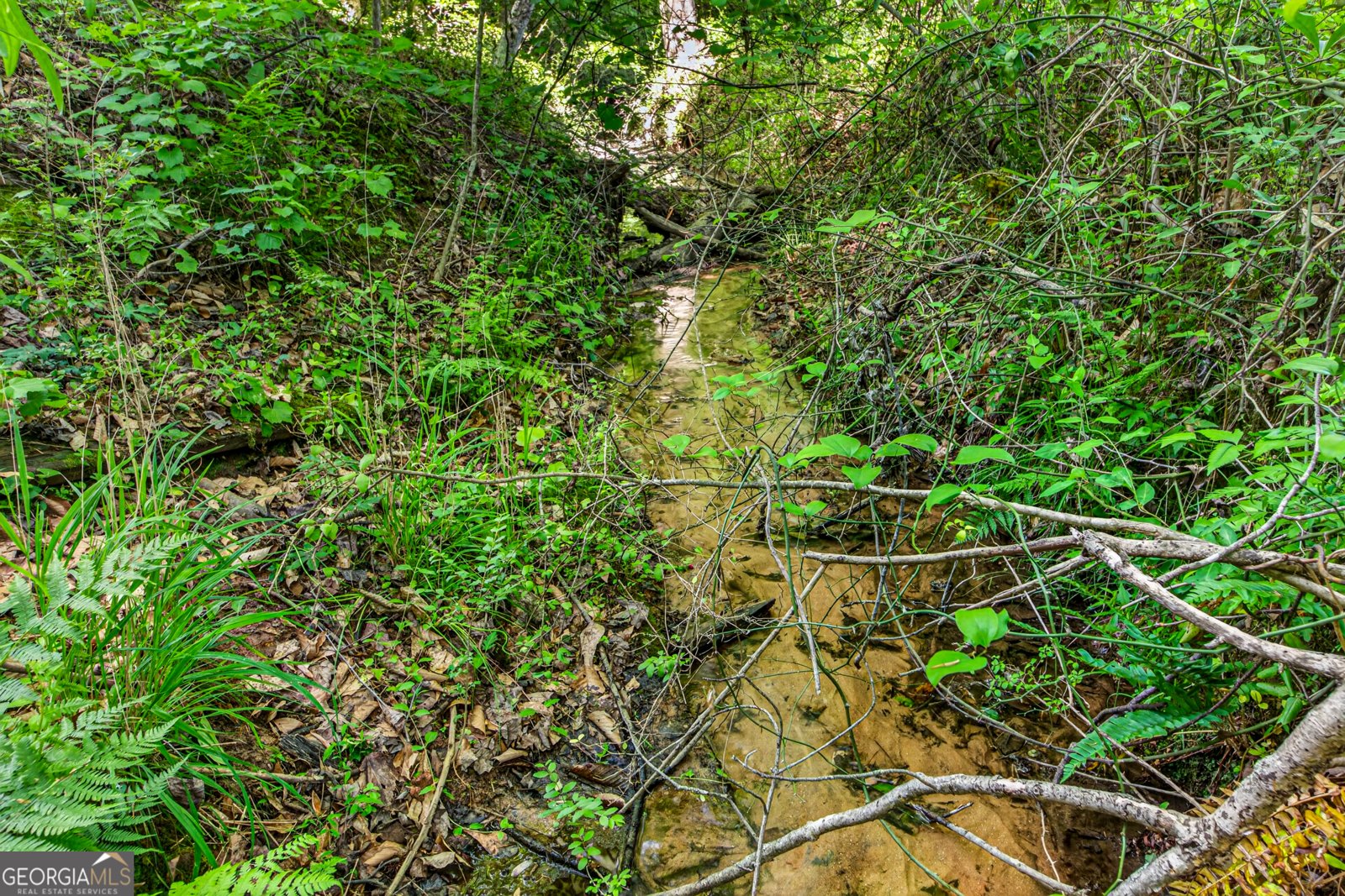 567 Shady Creek Road Toccoa - Photo 62