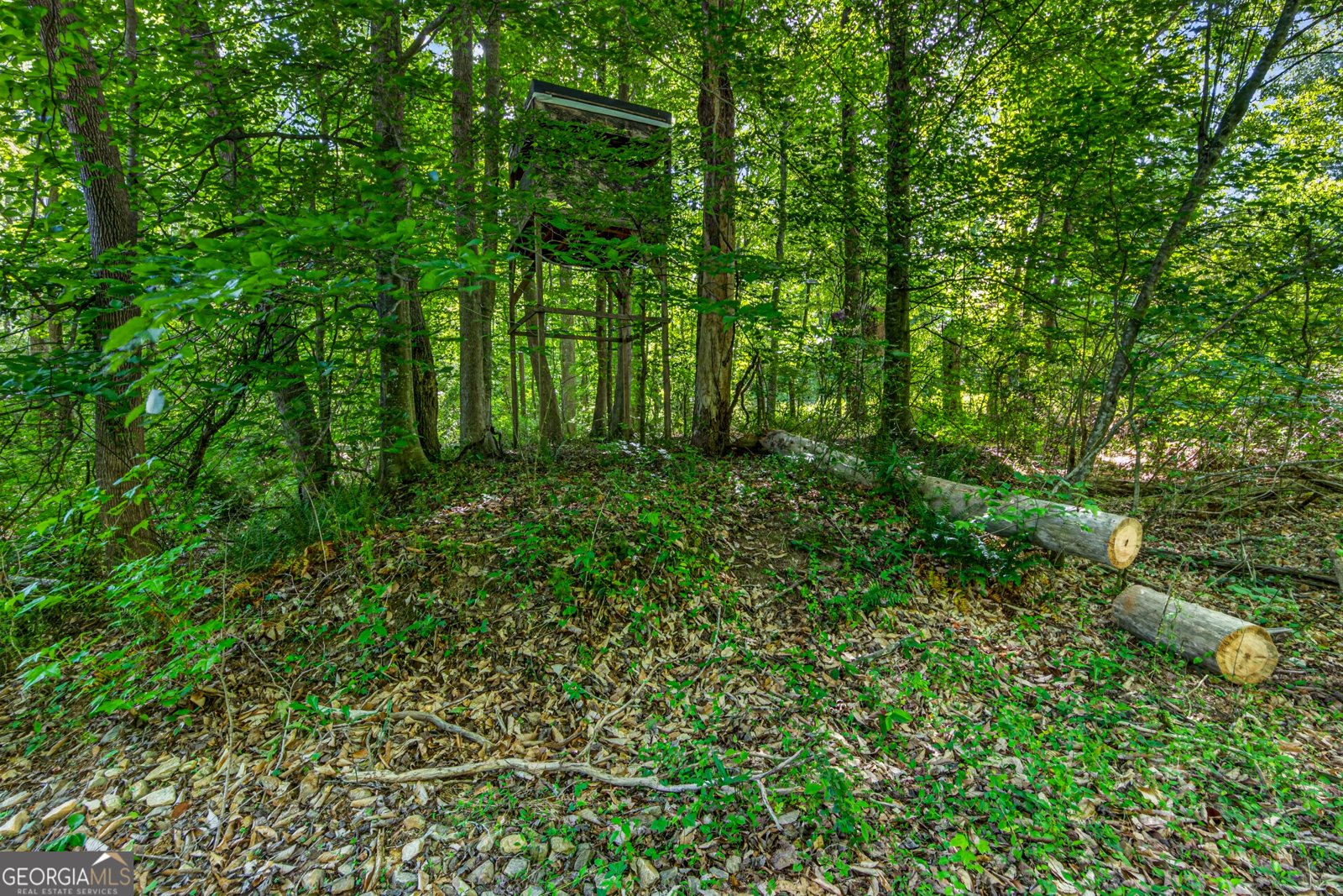 567 Shady Creek Road Toccoa - Photo 65