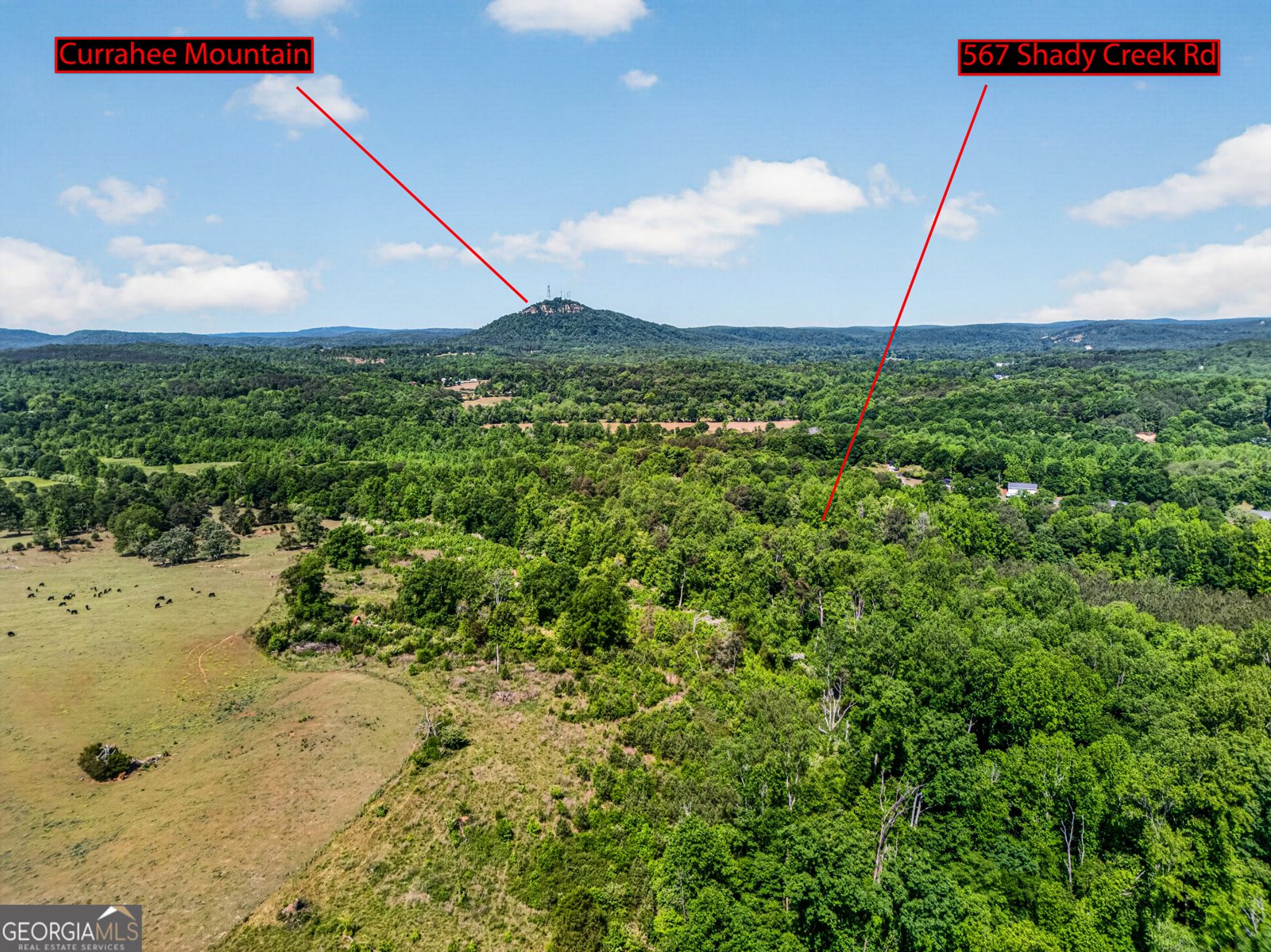 567 Shady Creek Road Toccoa - Photo 66