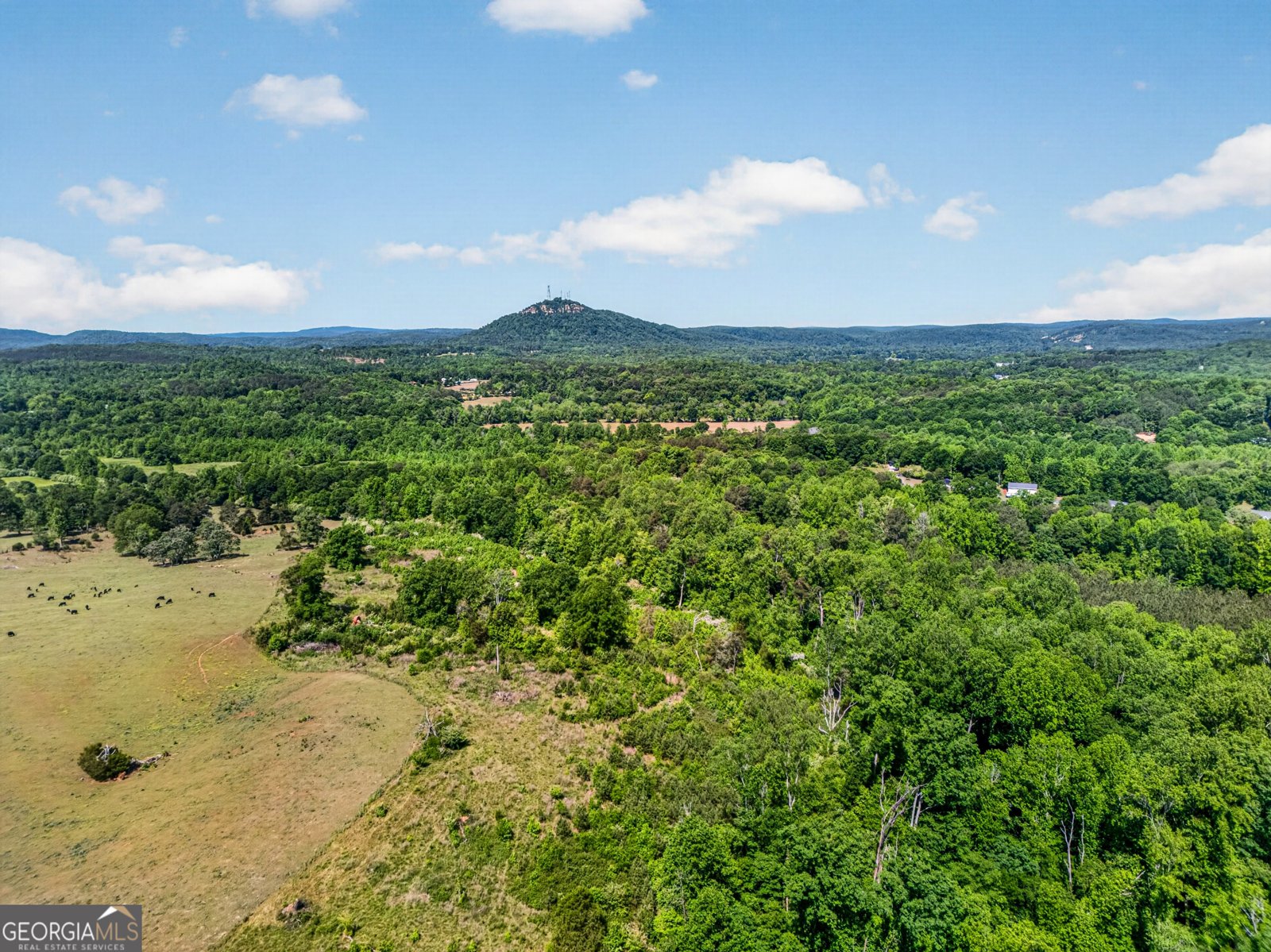 567 Shady Creek Road Toccoa - Photo 67