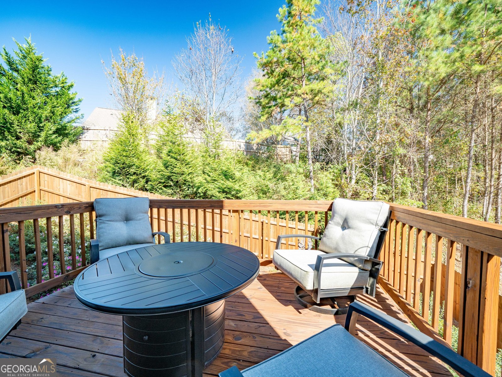 251 Mcgregor Lane Dawsonville - Photo 9