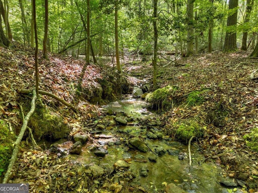 40 Cadet Court Ellijay - Photo 14