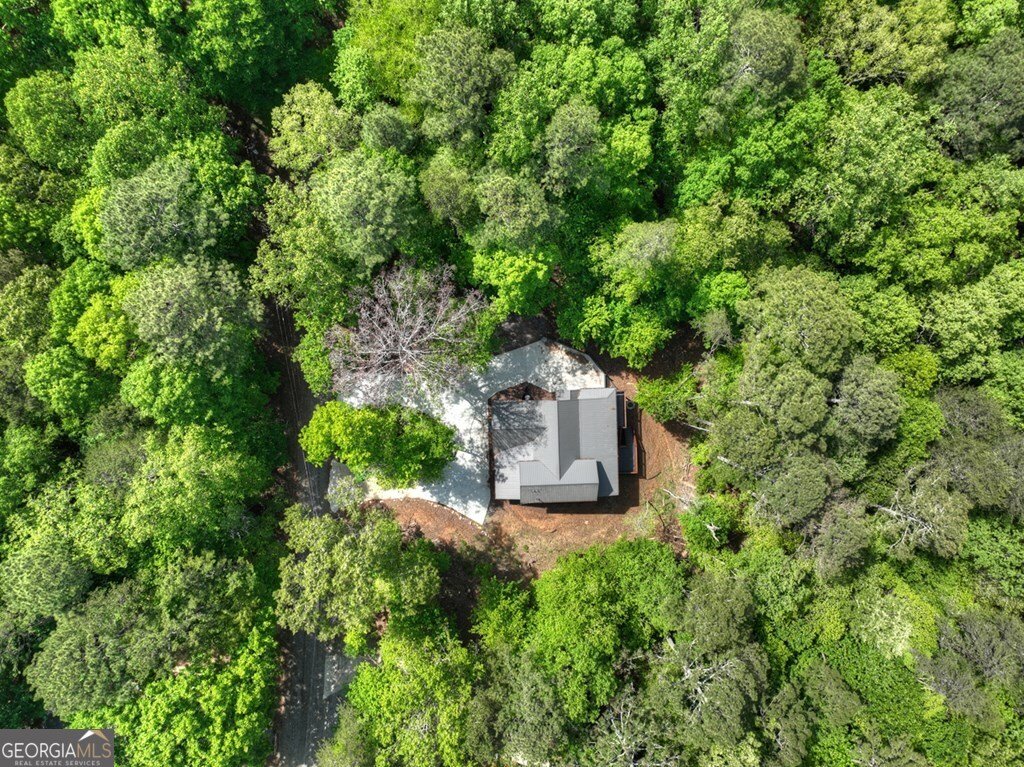 40 Cadet Court Ellijay - Photo 16