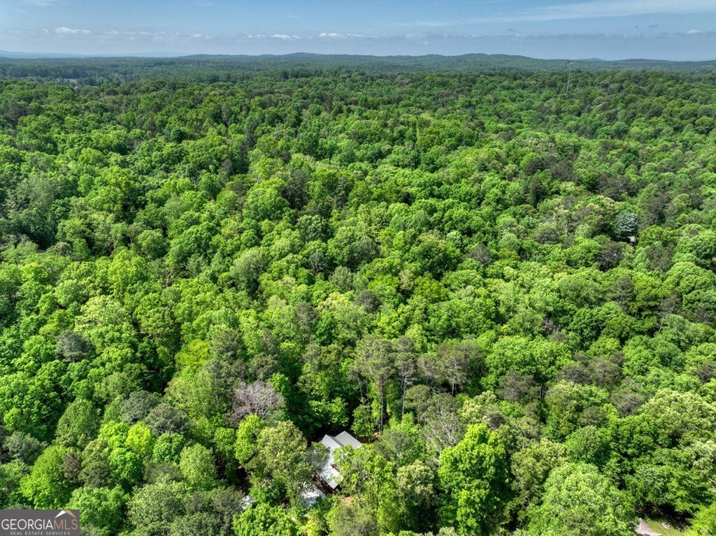 40 Cadet Court Ellijay - Photo 17
