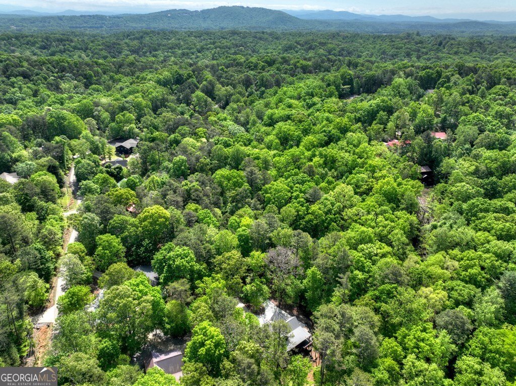 40 Cadet Court Ellijay - Photo 18