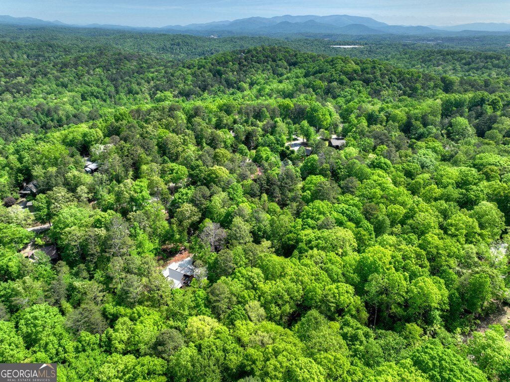 40 Cadet Court Ellijay - Photo 19