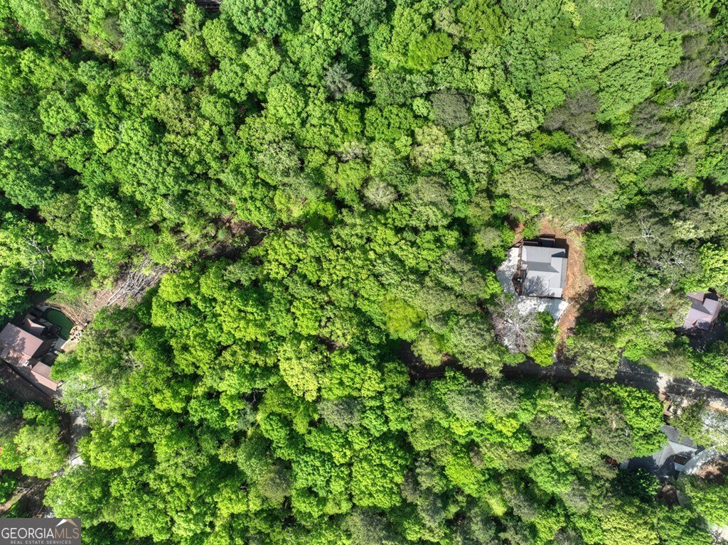 40 Cadet Court Ellijay - Photo 20