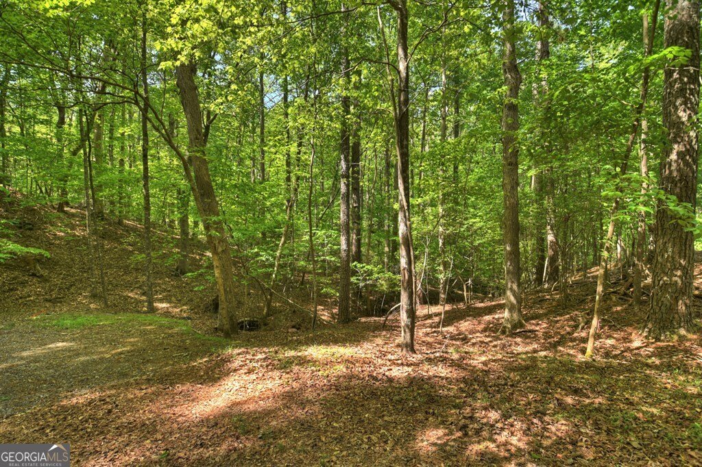 40 Cadet Court Ellijay - Photo 66