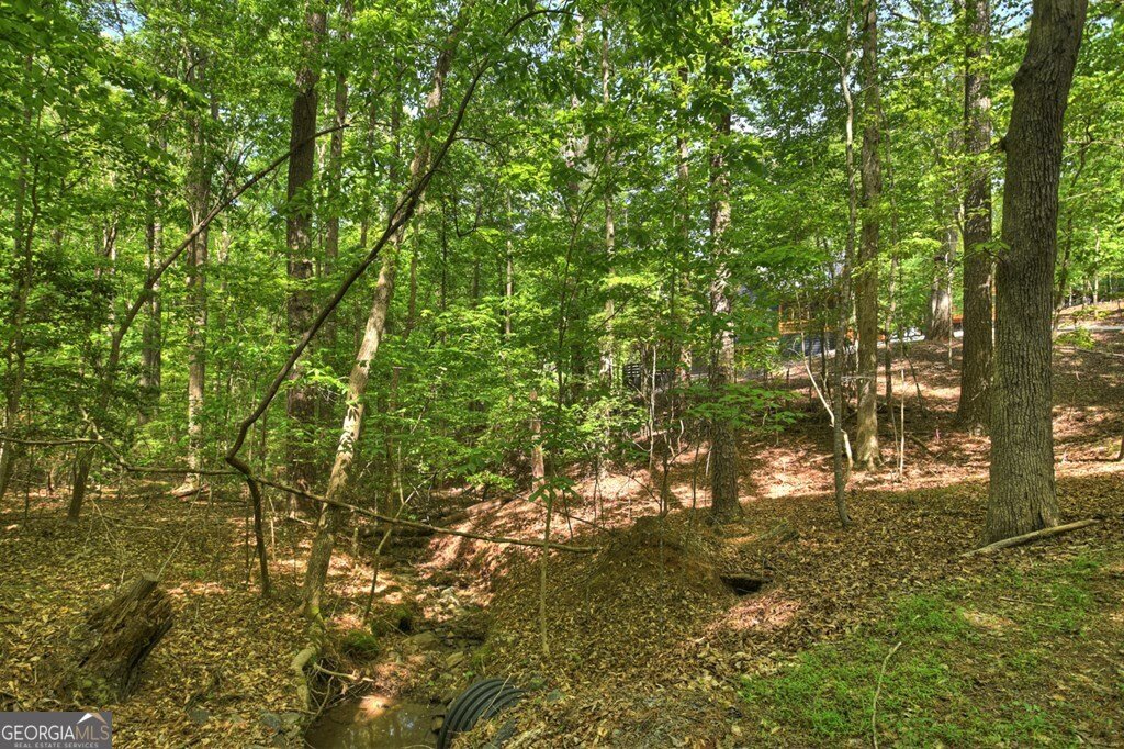 40 Cadet Court Ellijay - Photo 67
