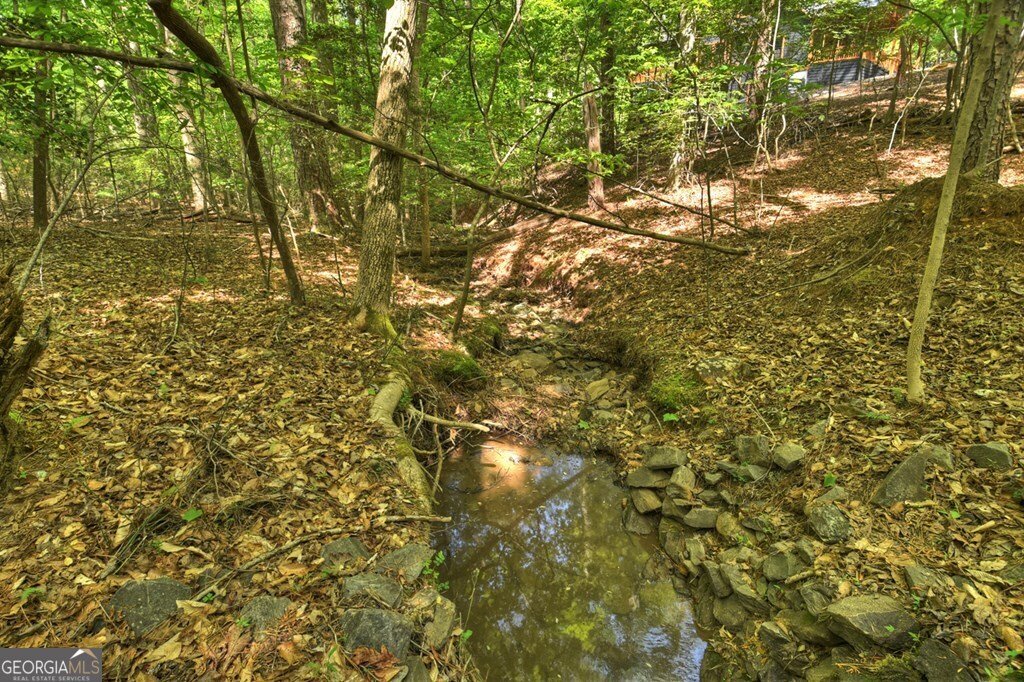 40 Cadet Court Ellijay - Photo 68
