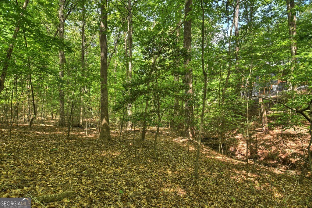 40 Cadet Court Ellijay - Photo 69