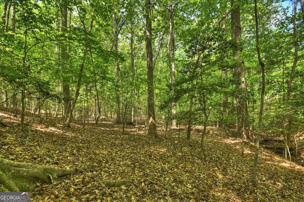 40 Cadet Court Ellijay - Photo 70
