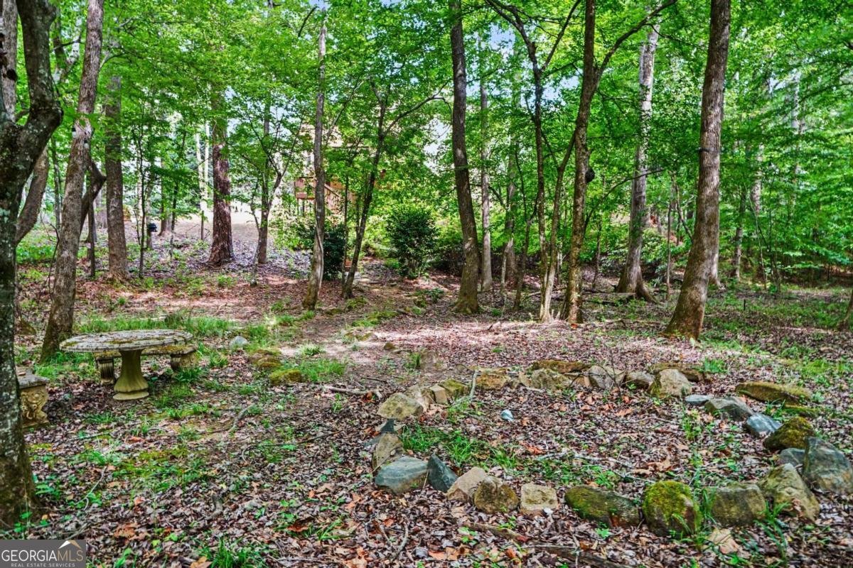 505 Barrington Farms Parkway Sharpsburg - Photo 10