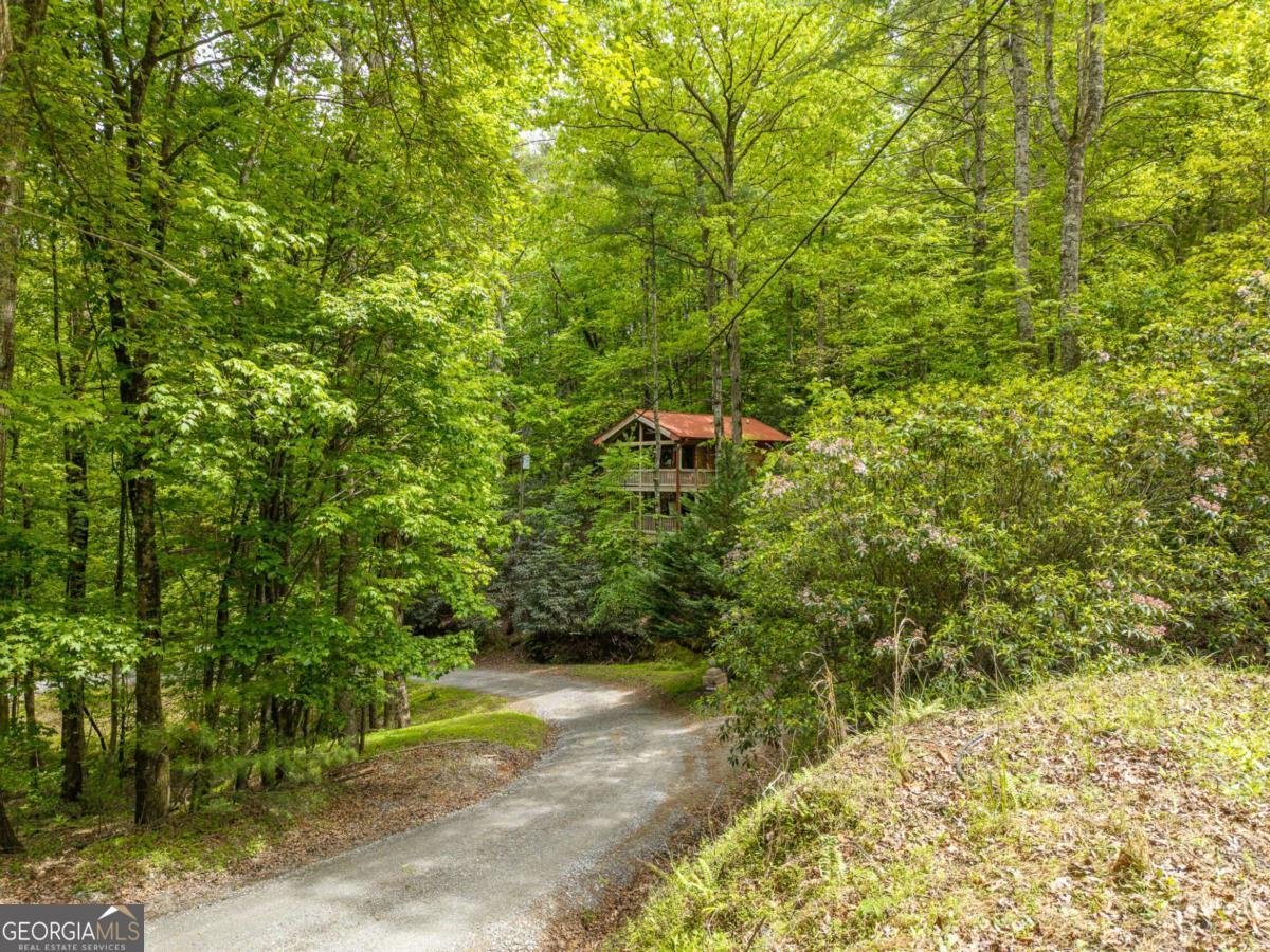28 Briar Creek Road Ellijay - Photo 18