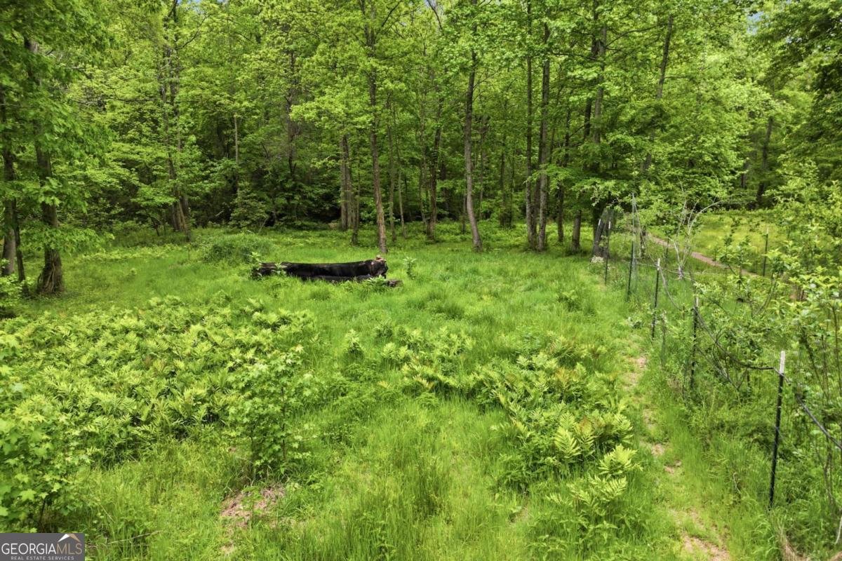1801 Soap Creek Road Ball Ground - Photo 43