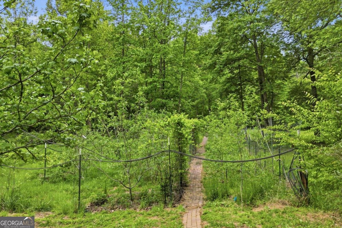 1801 Soap Creek Road Ball Ground - Photo 44