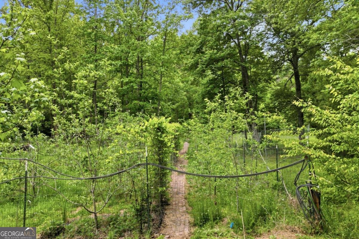1801 Soap Creek Road Ball Ground - Photo 45