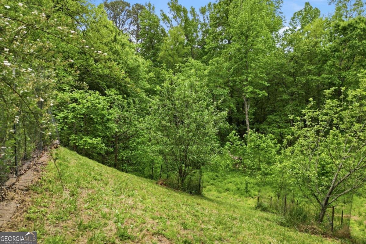 1801 Soap Creek Road Ball Ground - Photo 46