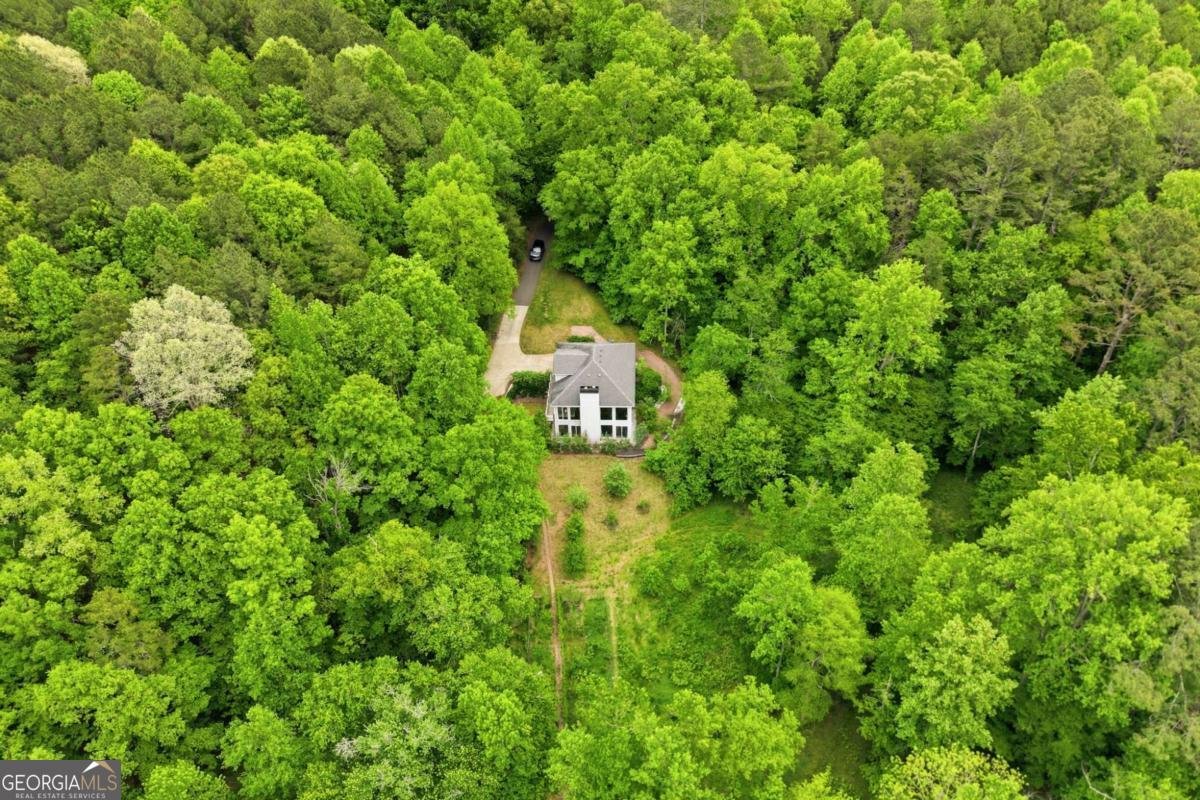 1801 Soap Creek Road Ball Ground - Photo 48