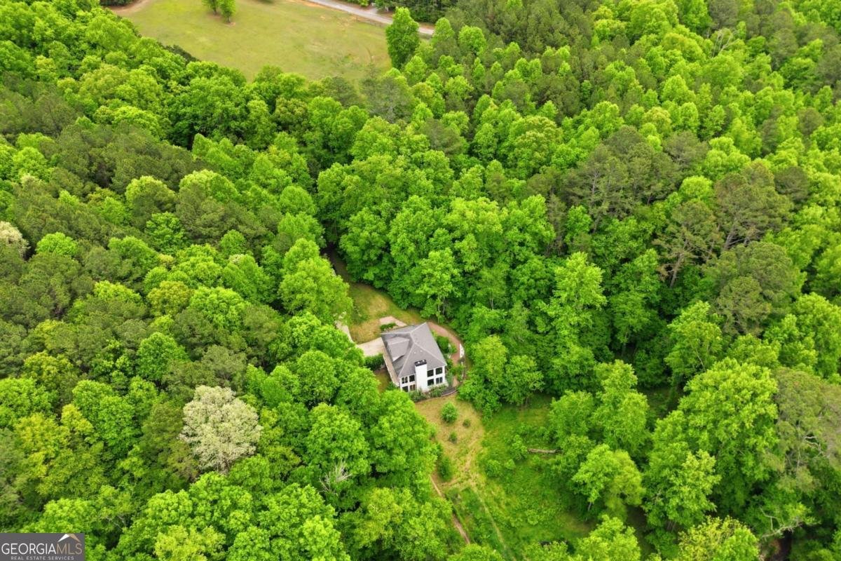 1801 Soap Creek Road Ball Ground - Photo 49