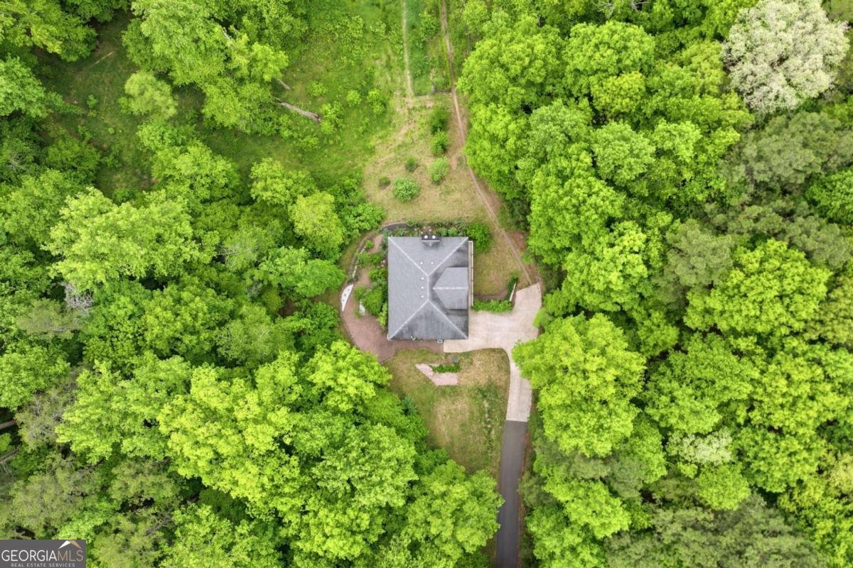 1801 Soap Creek Road Ball Ground - Photo 50