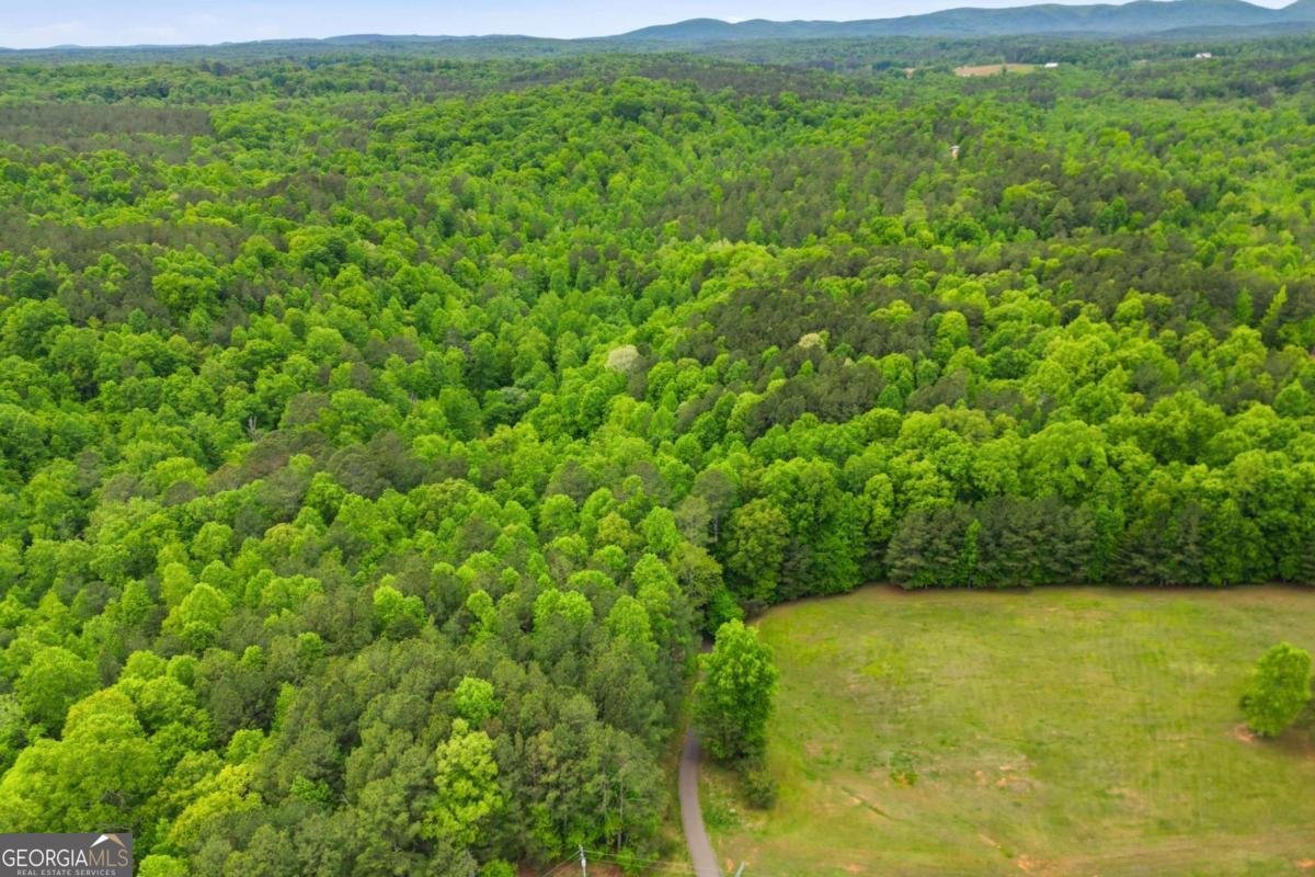 1801 Soap Creek Road Ball Ground - Photo 51