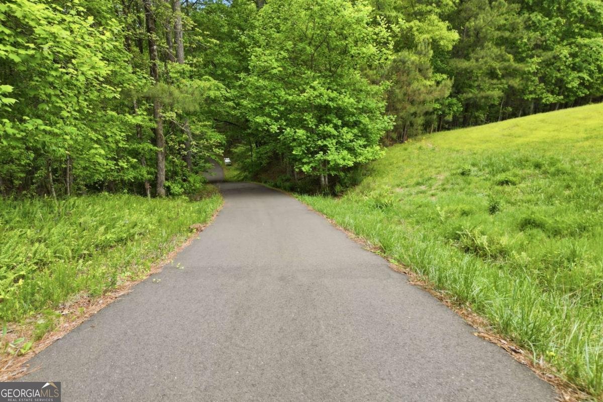 1801 Soap Creek Road Ball Ground - Photo 52