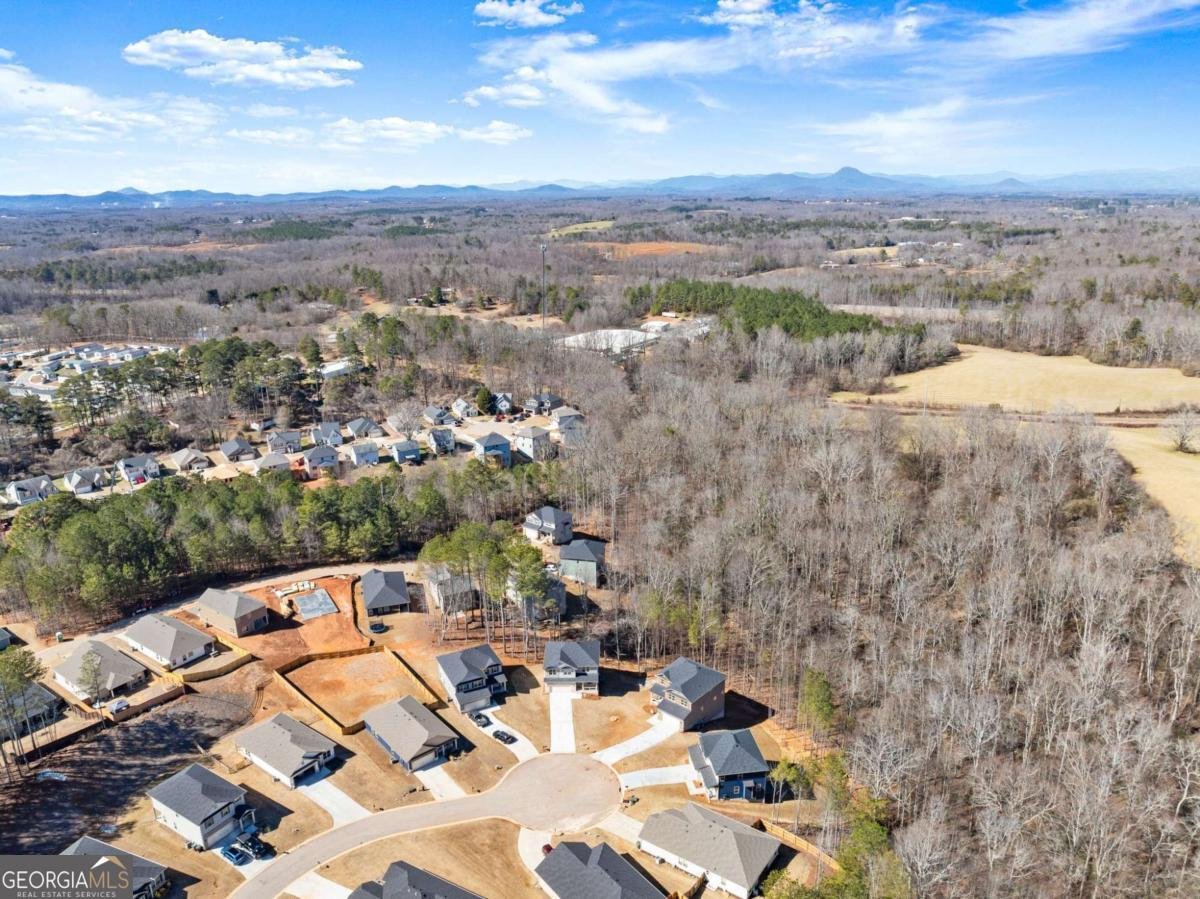657 Forest Way Cornelia - Photo 53