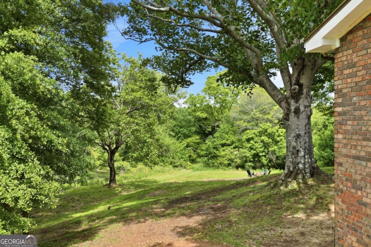 174 Old Ballground Road Canton - Photo 40