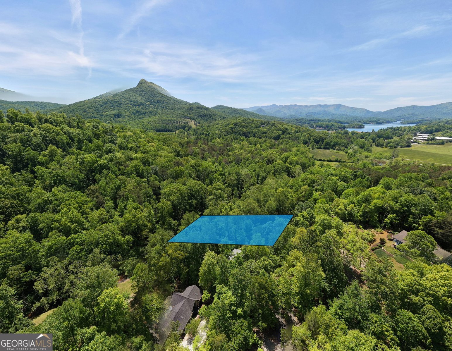 1903 Bell Eagle Drive Hiawassee - Photo 67