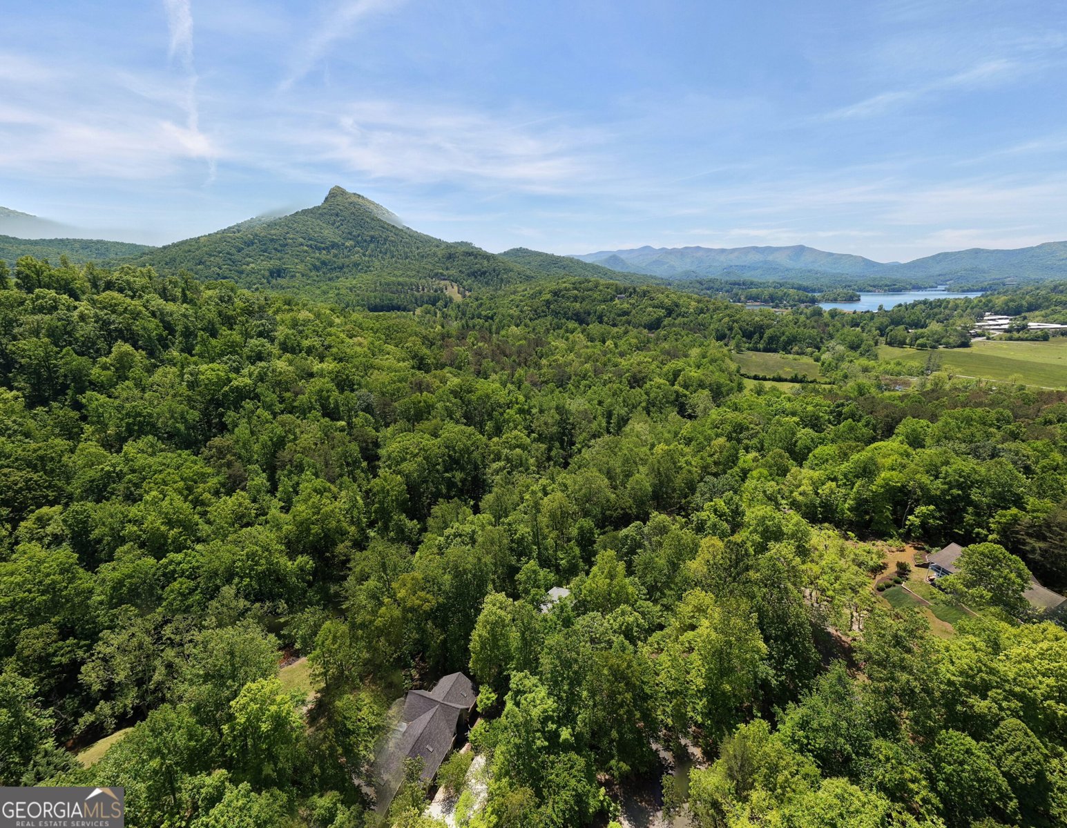 1903 Bell Eagle Drive Hiawassee - Photo 68