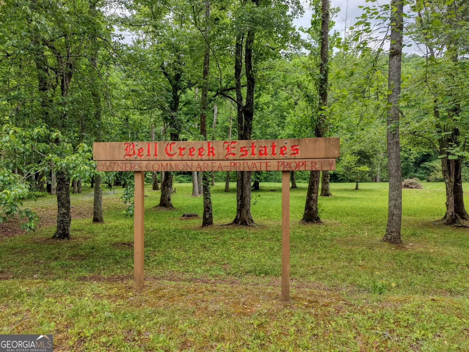1903 Bell Eagle Drive Hiawassee - Photo 69