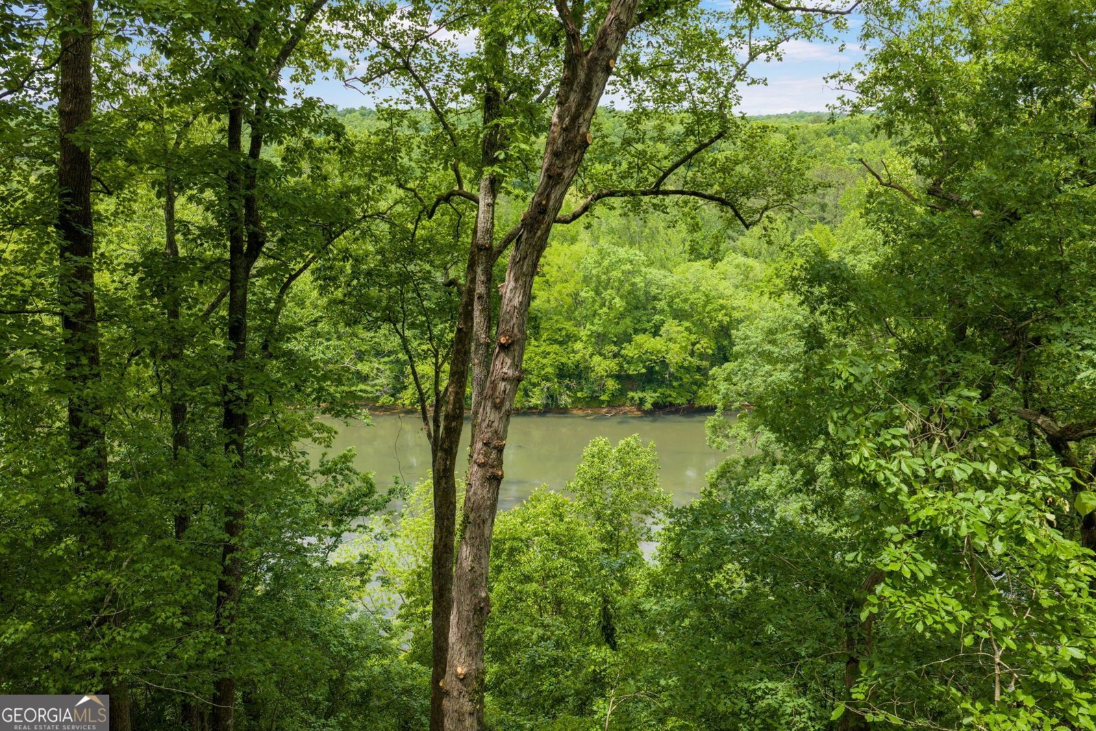 225 River North Drive Atlanta - Photo 23
