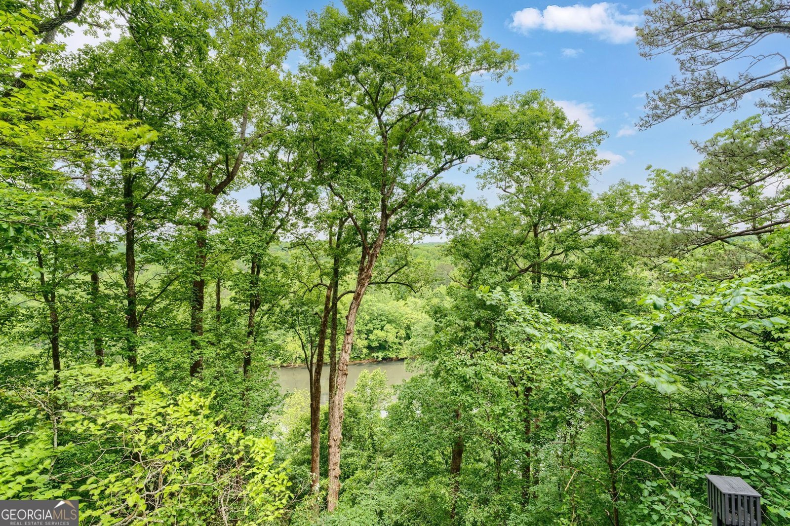 225 River North Drive Atlanta - Photo 72