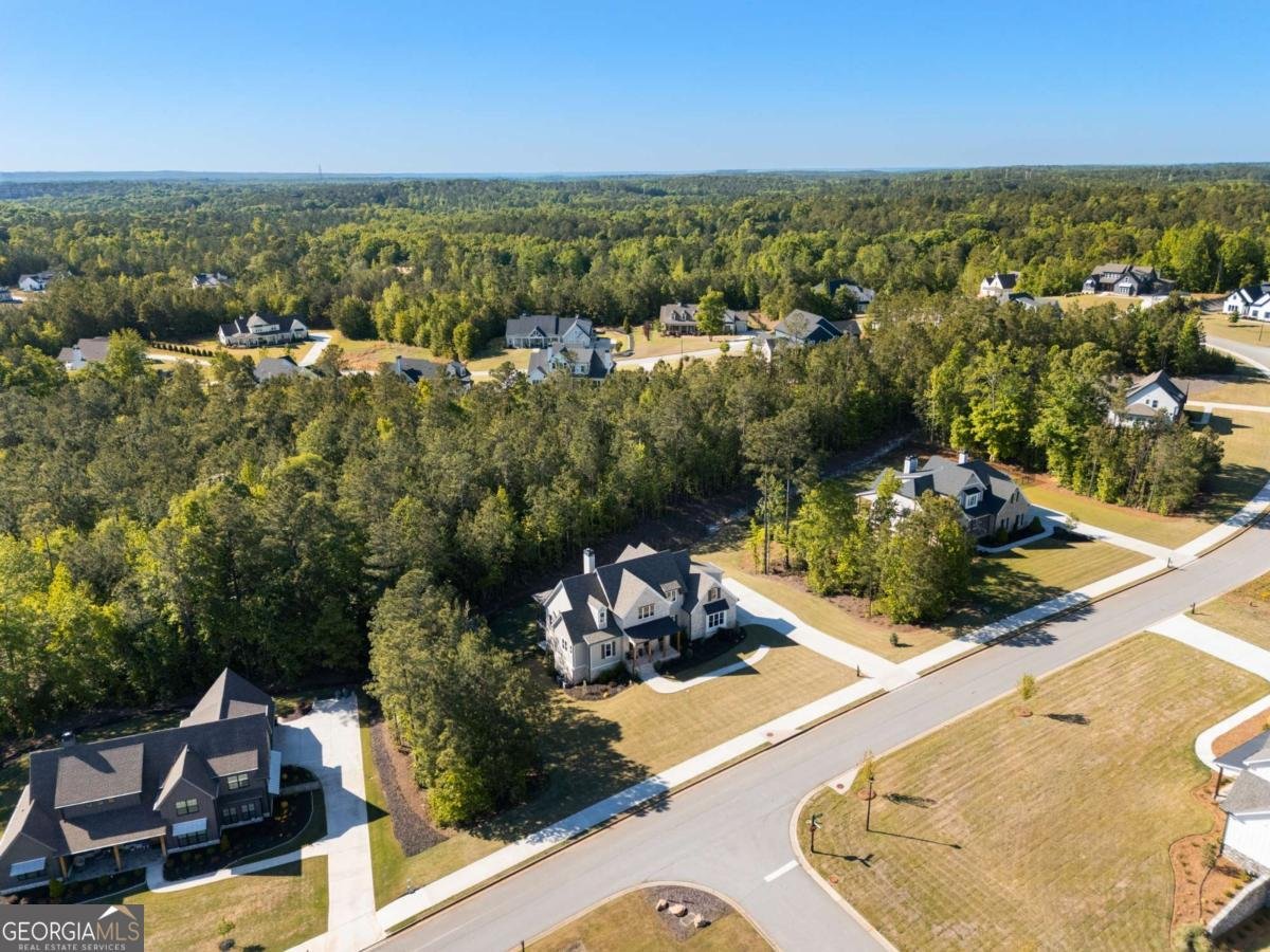 40 Fernbank Way Newnan - Photo 60