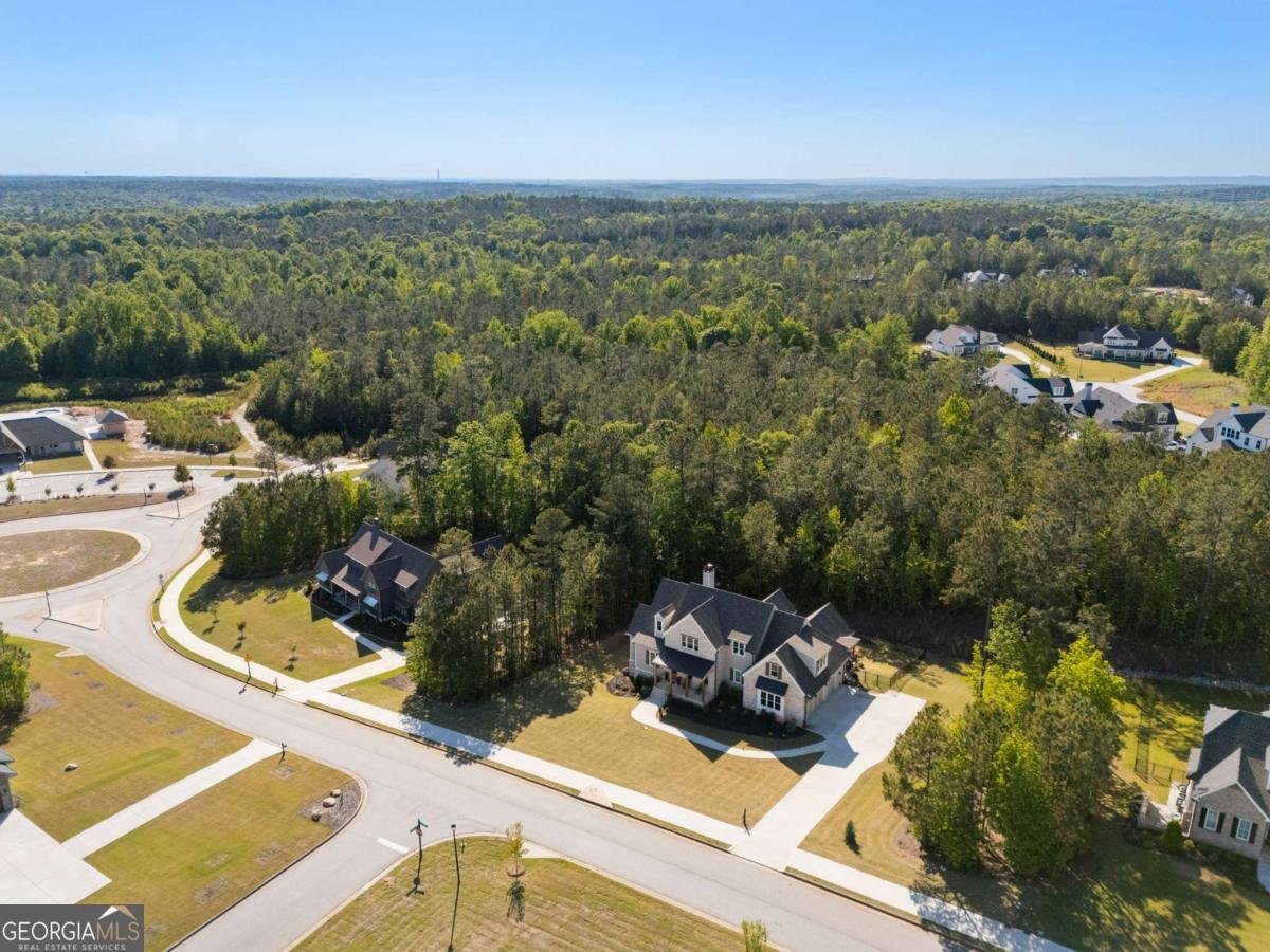 40 Fernbank Way Newnan - Photo 66