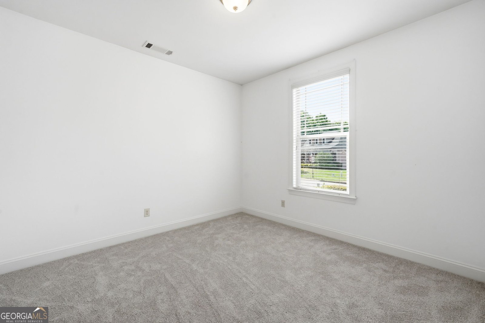 803 Cotton Creek Drive Canton - Photo 29