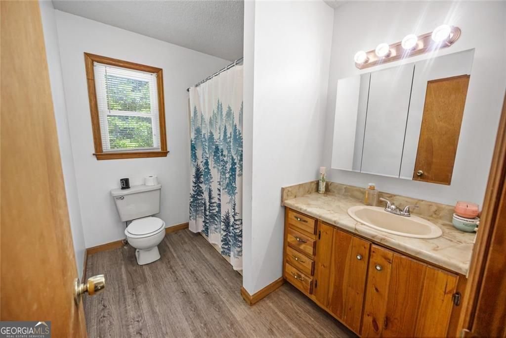 62 Peach Lane ellijay - Photo 12
