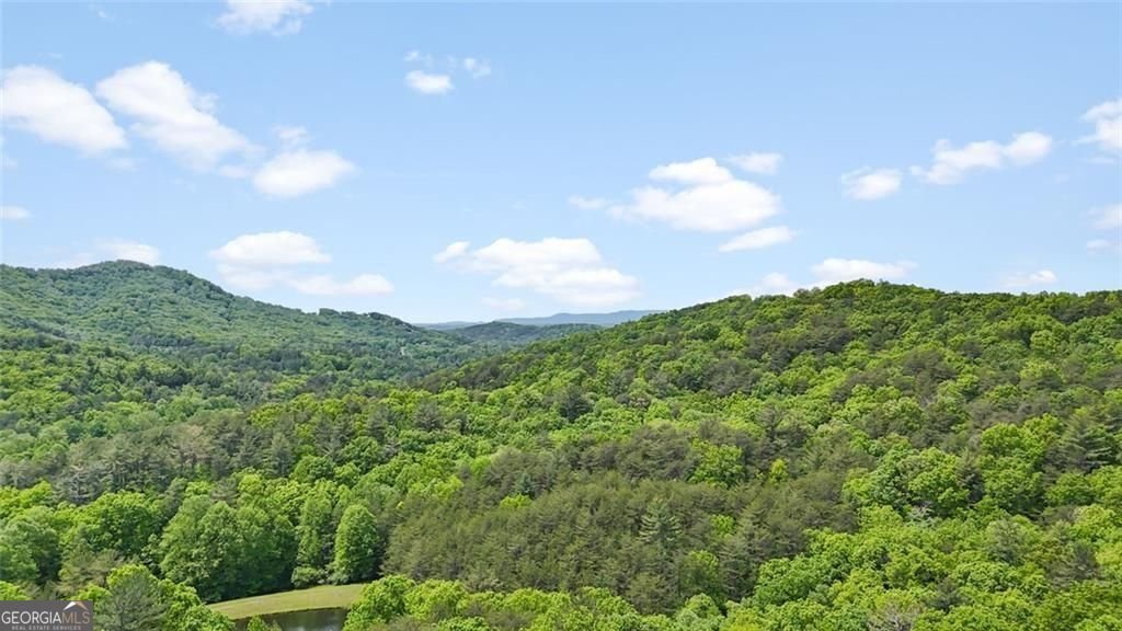 62 Peach Lane ellijay - Photo 23