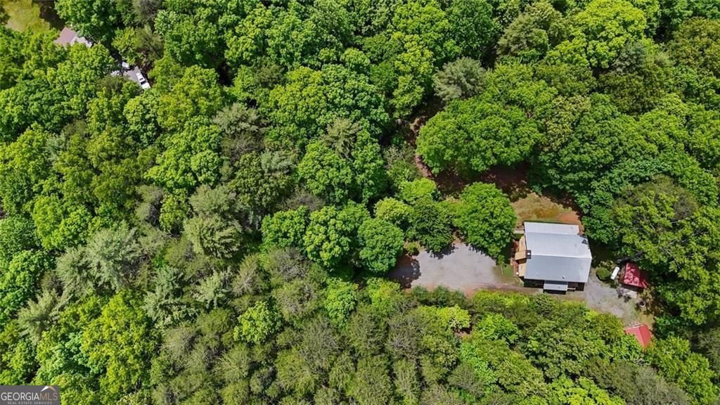62 Peach Lane ellijay - Photo 24