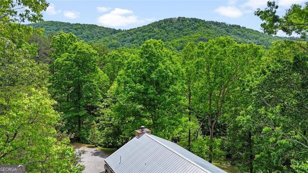 62 Peach Lane ellijay - Photo 25