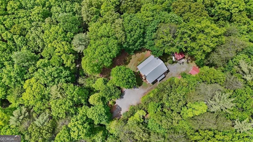 62 Peach Lane ellijay - Photo 32