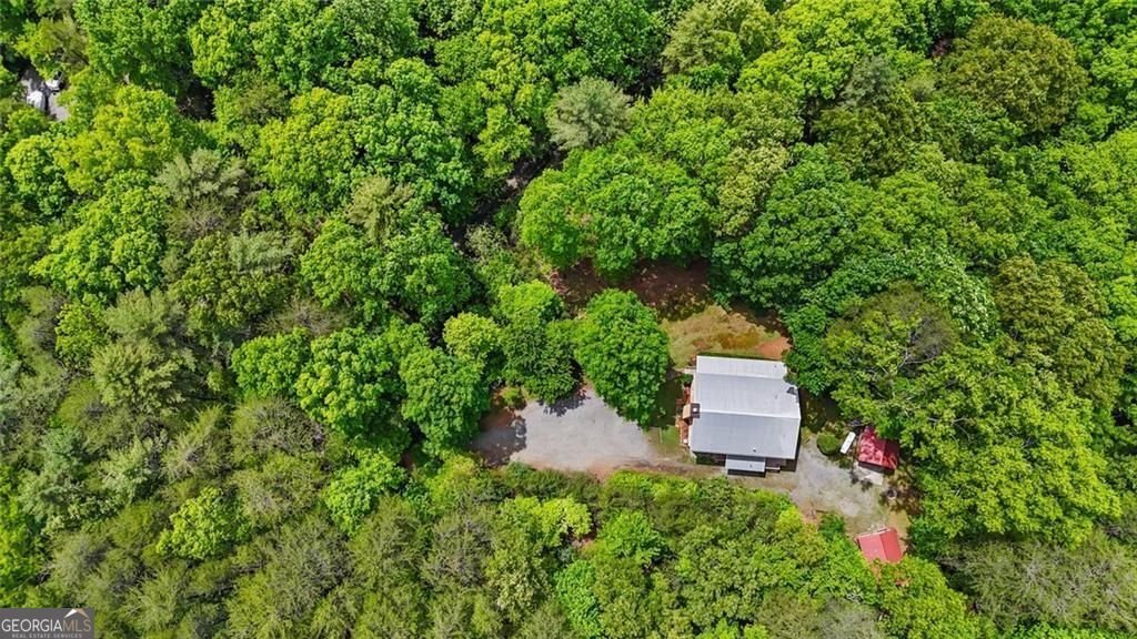62 Peach Lane ellijay - Photo 33