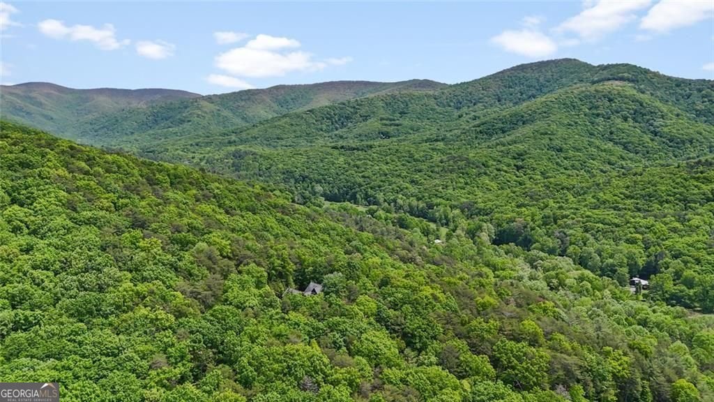 62 Peach Lane ellijay - Photo 34