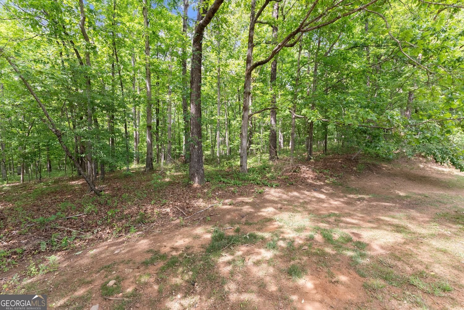 4934 Rilla Road Gainesville - Photo 34